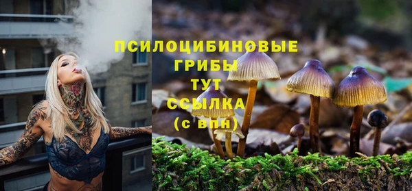 наркотики Алексин