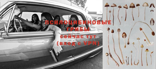 MESCALINE Алзамай