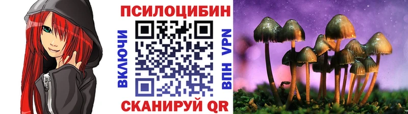 Псилоцибиновые грибы Cubensis Геленджик